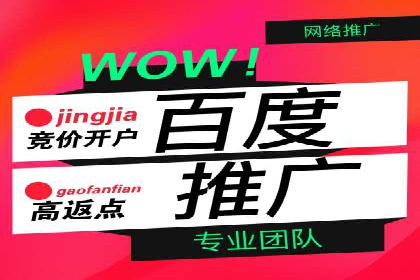 百度竞价包年推广策略——某行业巨头的成功经验