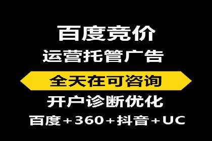 百度推广实战攻略：案例与策略